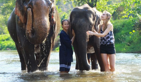 Private Wildlife Encounters Thailand Luxury Jungle Lodges