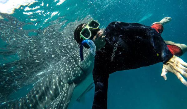 Private Marine Wildlife Tours Philippines Luxury