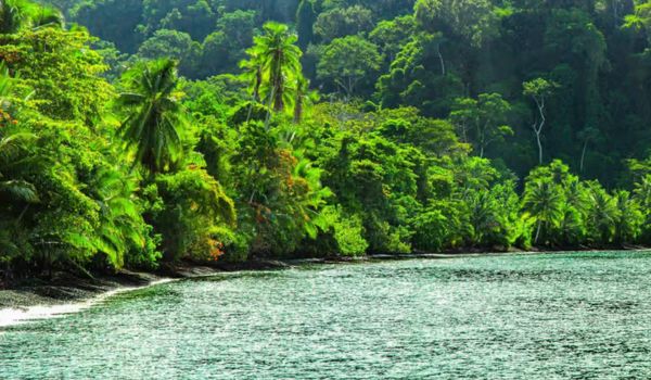 Luxury Wildlife Tours Costa Rica Private Guide