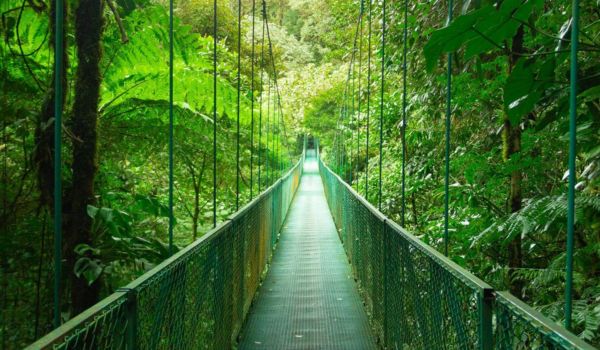 Luxury Wildlife Tours Costa Rica Private Guide