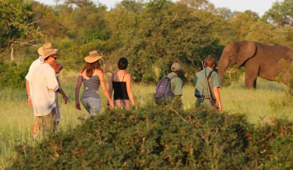 VIP Wildlife Encounters South Africa Luxury Safari